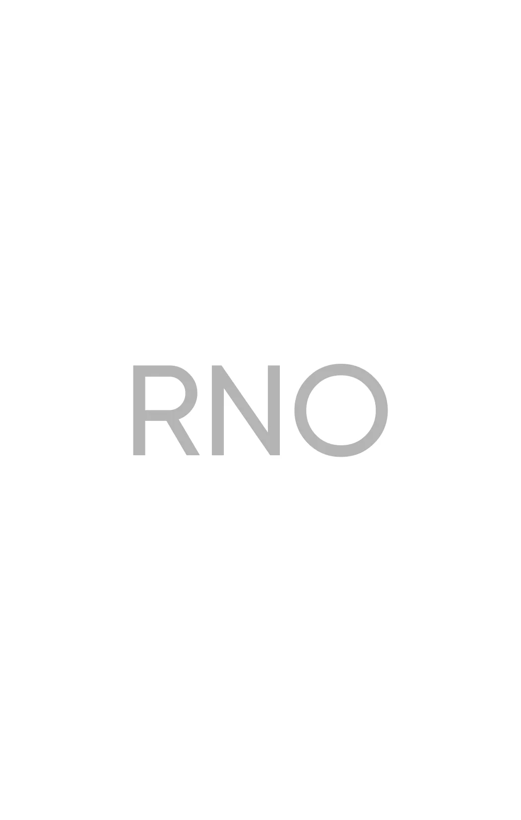 RNO Financial — Un sistema de marca completo (1)
